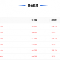 近50元/噸、溢價(jià)率393% 浙江民企競得一宗砂石礦